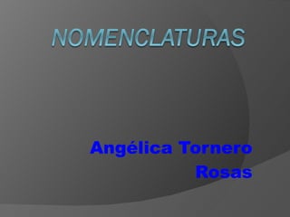 Angélica Tornero Rosas 