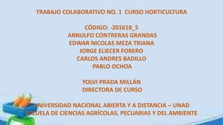 TRABAJO COLABORATIVO NO. 1 CURSO HORTICULTURA
CÓDIGO: -201618_5
ARNULFO CONTRERAS GRANDAS
EDWAR NICOLAS MEZA TRIANA
JORGE ELIECER FORERO
CARLOS ANDRES BADILLO
PABLO OCHOA
YOLVI PRADA MILLÁN
DIRECTORA DE CURSO
UNIVERSIDAD NACIONAL ABIERTA Y A DISTANCIA – UNAD
ESCUELA DE CIENCIAS AGRÍCOLAS, PECUARIAS Y DEL AMBIENTE
 