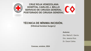 Mis Incision diapositivas técnica mis.pptx técnica de mínima incisión en lesiones de ...