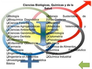 Ciencias Biológicas, Químicas y de la
Salud
Biología
Bioquímica Diagnóstica
Ciencia Forense
Ciencias Agrogenómicas
Ciencias Ambientales
Ciencias Genómicas
Cirujano Dentista
Enfermería
Enfermería Obstetricia
Farmacia
Fisioterapia
Ingeniería Agrícola
Ingeniería en Alimentos
Investigación Biomédica
Básica
Manejo Sustentable de
Zonas Costeras
Medicina
Medicina Veterinaria y
Zootecnia
Odontología
Optometría
Psicología
Química
Química de Alimentos
Química Farmacéutico
Biológica
Química Industrial
 