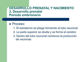 DESARROLLO PRENATAL Y NACIMIENTO
3. Desarrollo prenatal
Periodo embrionario
 Proceso:
1. El ectodermo se pliega formando ...