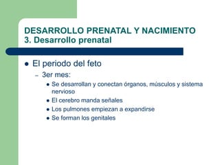DESARROLLO PRENATAL Y NACIMIENTO
3. Desarrollo prenatal
 El periodo del feto
– 3er mes:
 Se desarrollan y conectan órgan...