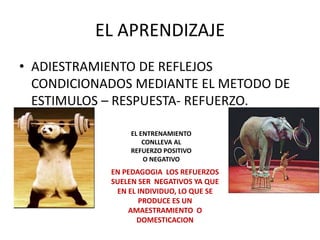 EL APRENDIZAJE
• ADIESTRAMIENTO DE REFLEJOS
  CONDICIONADOS MEDIANTE EL METODO DE
  ESTIMULOS – RESPUESTA- REFUERZO.

                EL ENTRENAMIENTO
                    CONLLEVA AL
                REFUERZO POSITIVO
                    O NEGATIVO
            EN PEDAGOGIA LOS REFUERZOS
            SUELEN SER NEGATIVOS YA QUE
             EN EL INDIVIDUO, LO QUE SE
                   PRODUCE ES UN
                AMAESTRAMIENTO O
                   DOMESTICACION
 