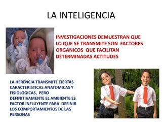 LA INTELIGENCIA

                    INVESTIGACIONES DEMUESTRAN QUE
                    LO QUE SE TRANSMITE SON FACTORES
                    ORGANICOS QUE FACILITAN
                    DETERMINADAS ACTITUDES



LA HERENCIA TRANSMITE CIERTAS
CARACTERISTICAS ANATOMICAS Y
FISIOLOGICAS, PERO
DEFINITIVAMENTE EL AMBIENTE ES
FACTOR INFLUYENTE PARA DEFINIR
LOS COMPORTAMIENTOS DE LAS
PERSONAS
 