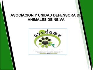 ASOCIACION Y UNIDAD DEFENSORA DE
ANIMALES DE NEIVA
 