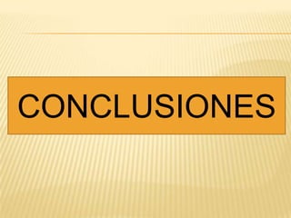 CONCLUSIONES

 