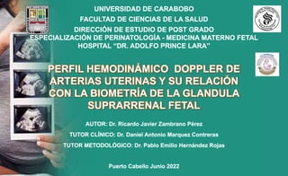 PERFIL HEMODINÁMICO DOPPLER DE
ARTERIAS UTERINAS Y SU RELACIÓN
CON LA BIOMETRÍA DE LA GLANDULA
SUPRARRENAL FETAL
 