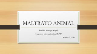 MALTRATO ANIMAL
Sánchez Santiago Mayela
Negocios Internacionales, BUAP
Marzo 15, 2016
 