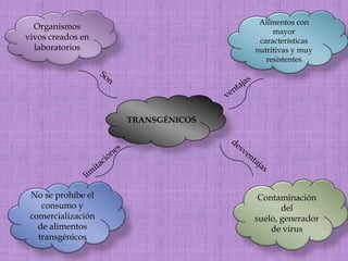 Organismos vivos creados en laboratorios Alimentos con mayor características nutritivas y muy resistentes Son ventajasTRANSGÉNICOS desventajas limitaciones Contaminación del suelo, generador de virus No se prohíbe el consumo y comercialización de alimentos transgénicos
