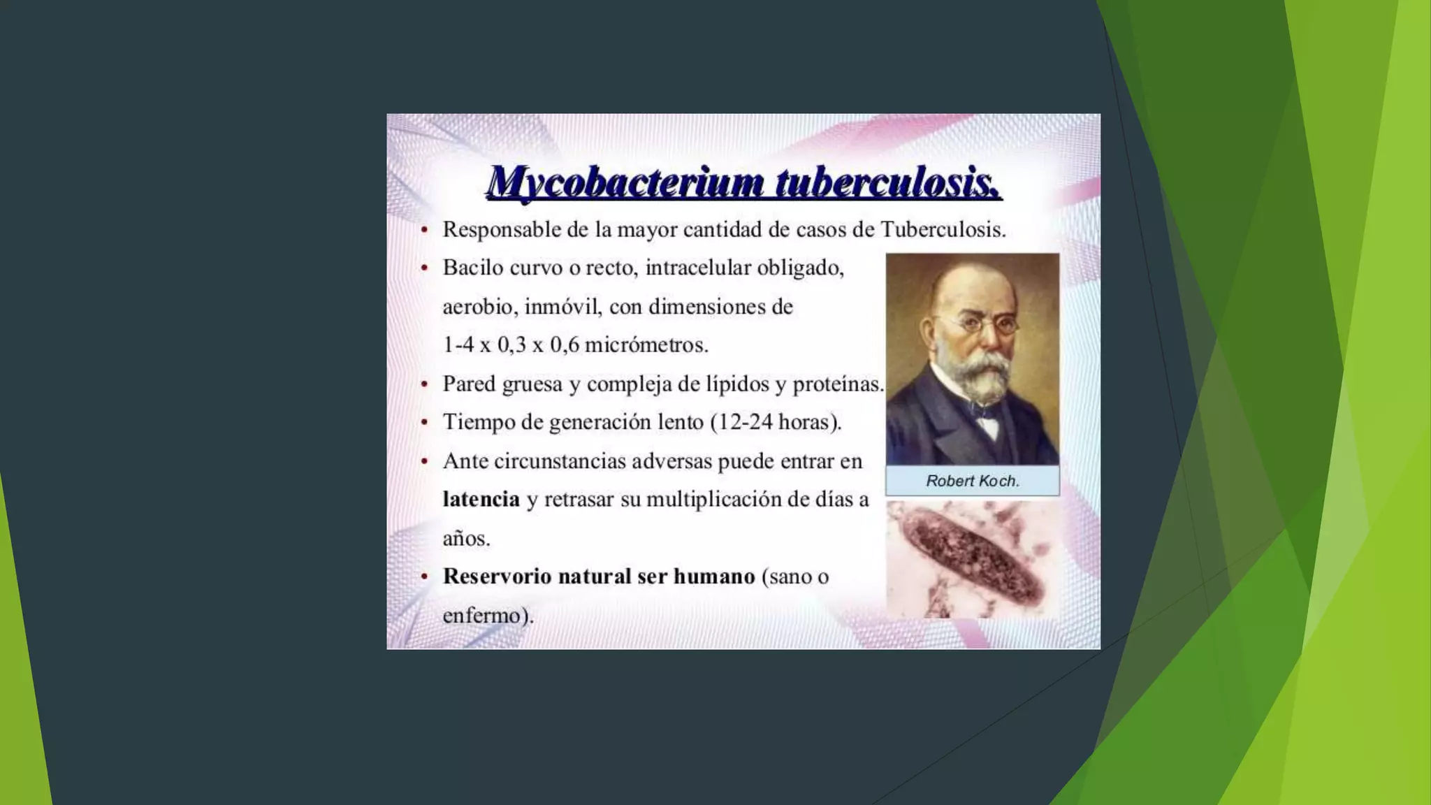 Diapositivas tuberculosis y salud publica | PPTX