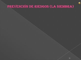 Prevención de riesgos (la Siembra)10