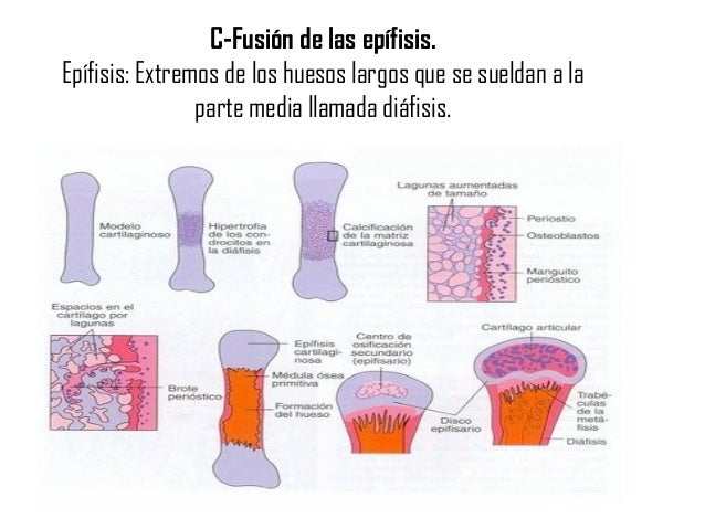 Diapositivas unidad 3 formación crimi 1 (1)