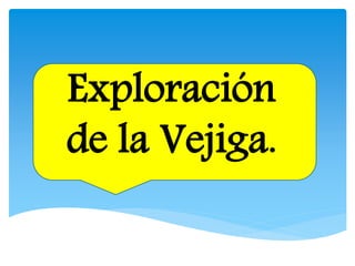 Exploración
de la Vejiga.
 