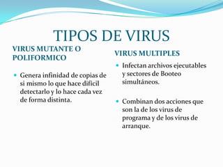 TIPOS DE VIRUS
VIRUS MUTANTE O
                                  VIRUS MULTIPLES
POLIFORMICO
                                   Infectan archivos ejecutables
 Genera infinidad de copias de     y sectores de Booteo
  si mismo lo que hace difícil      simultáneos.
  detectarlo y lo hace cada vez
  de forma distinta.               Combinan dos acciones que
                                    son la de los virus de
                                    programa y de los virus de
                                    arranque.
 