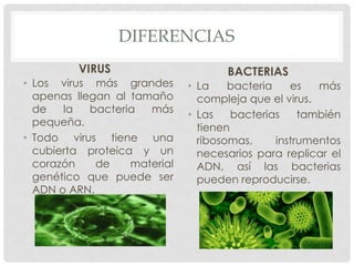 DIFERENCIAS
         VIRUS                       BACTERIAS
• Los virus más grandes       • La    bacteria    es   más
  apenas llegan al tamaño       compleja que el virus.
  de   la   bacteria  más     • Las    bacterias    también
  pequeña.                      tienen
• Todo virus tiene una          ribosomas,     instrumentos
  cubierta proteica y un        necesarios para replicar el
  corazón    de    material     ADN, así las bacterias
  genético que puede ser        pueden reproducirse.
  ADN o ARN.
 