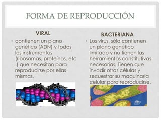 FORMA DE REPRODUCCIÓN

          VIRAL                      BACTERIANA
• contienen un plano           • Los virus, sólo contienen
  genético (ADN) y todos         un plano genético
  los instrumentos               limitado y no tienen las
  (ribosomas, proteínas, etc     herramientas constitutivas
  .) que necesitan para          necesarias. Tienen que
  reproducirse por ellas         invadir otras células y
  mismas.                        secuestrar su maquinaria
                                 celular para reproducirse.
 