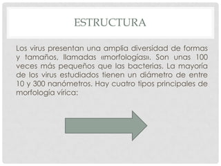 ESTRUCTURA

Los virus presentan una amplia diversidad de formas
y tamaños, llamadas «morfologías». Son unas 100
veces más pequeños que las bacterias. La mayoría
de los virus estudiados tienen un diámetro de entre
10 y 300 nanómetros. Hay cuatro tipos principales de
morfología vírica:
 
