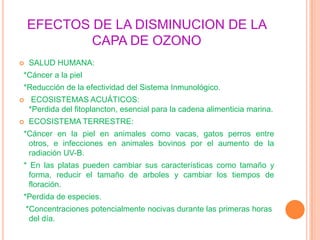 CAPA DE OZONOEs la delgada capa que permite la vida en la tierra que se encuentra entre los 19 y 23 kilómetros sobre la superficie terrestre, es una capa delgada de gas (Ozono) que nos protege de los fuertes rayos solares.Es la única substancia que absorbe la dañina radiación ultra violeta radiada por el sol.Últimos estudios han dado como resultado que las capa de ozono esta siendo destruida por el hombre y su contaminación como la de los clorofluorcarbonos.¿ QUÉ ES ?OZONO