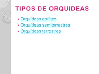  Orquídeas epífitas
 Orquídeas semiterrestres
 Orquídeas terrestres
 