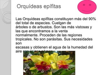 Orquídeas epífitas

Las Orquídeas epífitas constituyen más del 90%
del total de especies. Cuelgan de
árboles o de arbustos. Son las más vistosas y
las que encontramos a la venta
normalmente. Proceden de las regiones
tropicales. No son parásitas. Sus necesidades
son
escasas y obtienen el agua de la humedad del
aire con raíces aéreas.
 