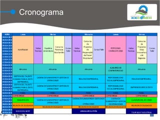 Cronograma