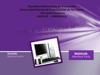 Republica Bolivariana de Venezuela
Universidad Nacional Experimental de los Llanos
«Ezequiel Zamora»
UNELLEZ – CARAMUCA
 