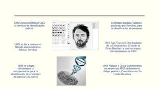 1882 Alfonso Bertillon Creo
el servicio de identificación
judicial
1885 se dio a conocer el
Método antropométrico
Alfonso Bertillon
1888 se adopta
oficialmente la
antropometría, para la
identificación de criminales
Al ingresar a la cárcel
El Retrato hablado También
publicado por Bertillon, para
la Identificación de personas
1891 Juan Vucetich Otro fundador
de la Criminalística Creando la
Ficha Dactilar La cual se acepta
Universalmente en 1904
1961 Watson y Crack Construyeron
un modelo de ADN, definiendo el
código genético, Conocido como La
Huella Genética
 
