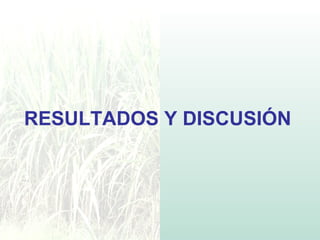 RESULTADOS Y DISCUSIÓN
 
