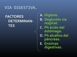VIA DIGESTIVA.
FACTORES
DETERMINANTES

A. Higiene.
B. Deglución via

respirat.
C. Ph ácido del
estómago.
D. Ph alcalino del
páncreas.
E. Enzimas
digestivas.

 