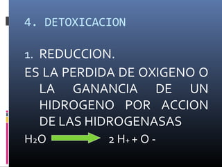 4. DETOXICACION

1. REDUCCION.

ES LA PERDIDA DE OXIGENO O
LA GANANCIA DE UN
HIDROGENO POR ACCION
DE LAS HIDROGENASAS
H2O

2 H+ + O -

 