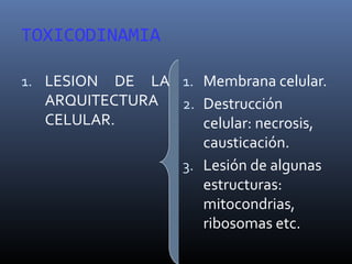 TOXICODINAMIA
1. LESION

DE LA 1. Membrana celular.
ARQUITECTURA
2. Destrucción
CELULAR.
celular: necrosis,
causticación.
3. Lesión de algunas
estructuras:
mitocondrias,
ribosomas etc.

 