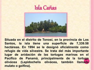 Isla Cañas 
Situada en el distrito de Tonosí, en la provincia de Los 
Santos, la isla tiene una superficie de 7,339.58 
hectáreas. En 1994 se le designó oficialmente como 
refugio de vida silvestre. Se trata del más importante 
lugar de anidación de las tortugas marinas en el 
Pacífico de Panamá, principalmente de la tortuga 
olivácea (Lepidochelis olivácea, también llamada 
mulato o golfina). 
 