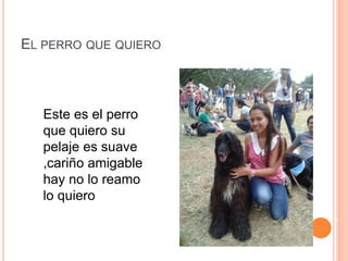 EL PERRO QUE QUIERO
Este es el perro
que quiero su
pelaje es suave
,cariño amigable
hay no lo reamo
lo quiero
 