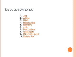 TABLA DE CONTENIDO
1. pug
2. wolfdog
3. Pitbull
4. French poodle
5. Labradora
6. criollo
7. Pastor aleman
8. Criollo negro
9. El perro que quiero
10.Mensaje final
 