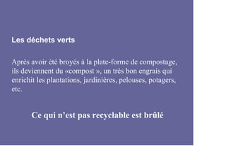 Les déchets verts

Après avoir été broyés à la plate-forme de compostage,
ils deviennent du «compost », un très bon engrais qui
enrichit les plantations, jardinières, pelouses, potagers,
etc.


      Ce qui n’est pas recyclable est brûlé
 