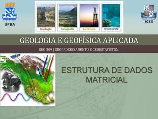 GEOLOGIA E GEOFÍSICA APLICADA
GEO 309 | GEOPROCESSAMENTO E GEOESTATÍSTICA
ESTRUTURA DE DADOS
MATRICIAL
 