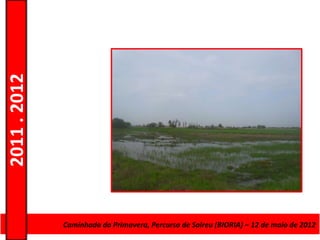 2011 . 2012




              CursoCaminhada da Primavera, Percurso deAdultos – Escolar –de maio de 2012
                    de Educação e Formação de Salreu (BIORIA) – 12 Nível Secundário
 