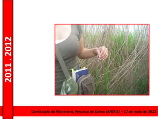 2011 . 2012




              CursoCaminhada da Primavera, Percurso deAdultos – Escolar –de maio de 2012
                    de Educação e Formação de Salreu (BIORIA) – 12 Nível Secundário
 