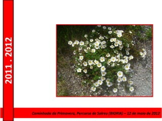 2011 . 2012




              CursoCaminhada da Primavera, Percurso deAdultos – Escolar –de maio de 2012
                    de Educação e Formação de Salreu (BIORIA) – 12 Nível Secundário
 