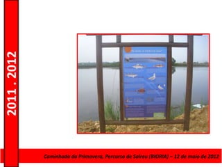 2011 . 2012




              CursoCaminhada da Primavera, Percurso deAdultos – Escolar –de maio de 2012
                    de Educação e Formação de Salreu (BIORIA) – 12 Nível Secundário
 
