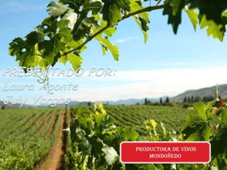 productora de vinos
    MONDOÑEDO
 