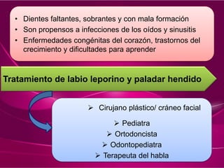 • Dientes faltantes, sobrantes y con mala formación
• Son propensos a infecciones de los oídos y sinusitis
• Enfermedades congénitas del corazón, trastornos del
crecimiento y dificultades para aprender
Tratamiento de labio leporino y paladar hendido
 Cirujano plástico/ cráneo facial
 Pediatra
 Ortodoncista
 Odontopediatra
 Terapeuta del habla
 