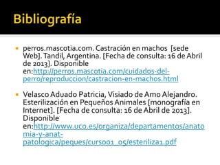    perros.mascotia.com. Castración en machos [sede
    Web]. Tandil, Argentina. [Fecha de consulta: 16 de Abril
    de 2013]. Disponible
    en:http://perros.mascotia.com/cuidados-del-
    perro/reproduccion/castracion-en-machos.html
   Velasco Aduado Patricia, Visiado de Amo Alejandro.
    Esterilización en Pequeños Animales [monografía en
    Internet]. [Fecha de consulta: 16 de Abril de 2013].
    Disponible
    en:http://www.uco.es/organiza/departamentos/anato
    mia-y-anat-
    patologica/peques/curso01_05/esteriliza1.pdf
 