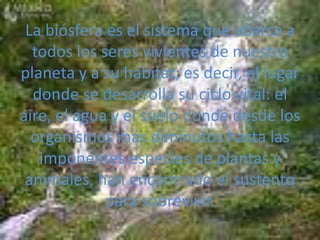 La biósfera es el sistema que abarca a todos los seres vivientes de nuestro planeta y a su hábitat; es decir, el lugar donde se desarrolla su ciclo vital: el aire, el agua y el suelo donde desde los organismos más diminutos hasta las imponentes especies de plantas y animales, han encontrado el sustento para sobrevivir.