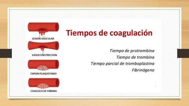 TP y TPT