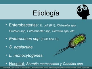 Etiología
• Enterobacterias: E. coli (K1), Klebsiella spp,
Proteus spp, Enterobacter spp, Serratia spp, etc.
• Enterococus spp (EGB tipo III).
• S. agalactiae.
• L. monocytogenes.
• Hospital: Serratia marcescens y Candida spp
Fernández B., López J., Coto G., Ramos Ibáñez A..Meningitis neonatal. Servicio de Neonatología Hospital Universitario Central de Asturias España 2008
 