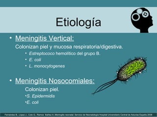 Etiología
• Meningitis Vertical:
Colonizan piel y mucosa respiratoria/digestiva.
• Estreptococo hemolítico del grupo B.
• E. coli
• L. monocytogenes
Fernández B., López J., Coto G., Ramos Ibáñez A..Meningitis neonatal. Servicio de Neonatología Hospital Universitario Central de Asturias España 2008
• Meningitis Nosocomiales:
Colonizan piel.
•S. Epidermidis
•E. coli
 