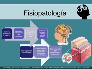 Fernández B., López J., Coto G., Ramos Ibáñez A..Meningitis neonatal. Servicio de Neonatología Hospital Universitario Central de Asturias España 2008
Fisiopatología
 