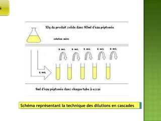 Schéma représentant la technique des dilutions en cascades PREPARATION  DES DILUTIONS 