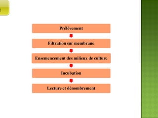 ANALYSE   MICROBIOLOGIQUES DE L’EAU 